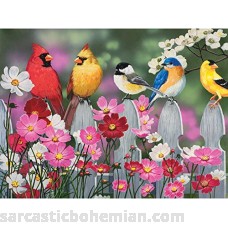 Songbirds and Cosmos 500 pc Jigsaw Puzzle B00IEGCESS
